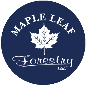 Maple Leaf Forestry logo